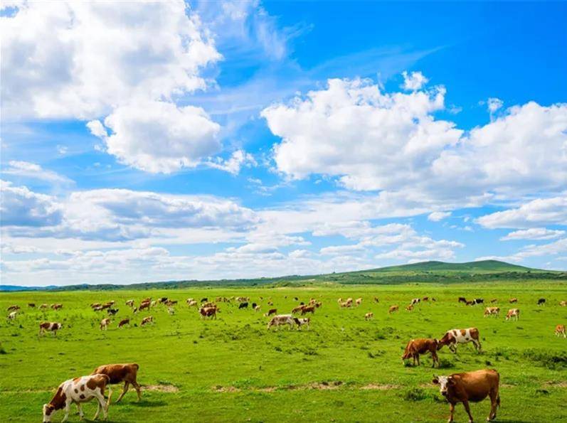 走进内蒙古,深度体验与心得分享