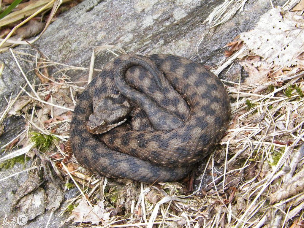 吉林,吉林之光，学习变革的力量与自信成就的梦想